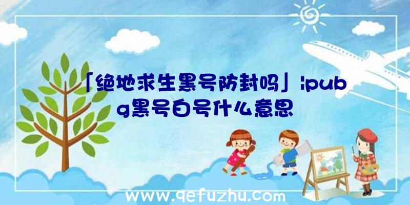 「绝地求生黑号防封吗」|pubg黑号白号什么意思